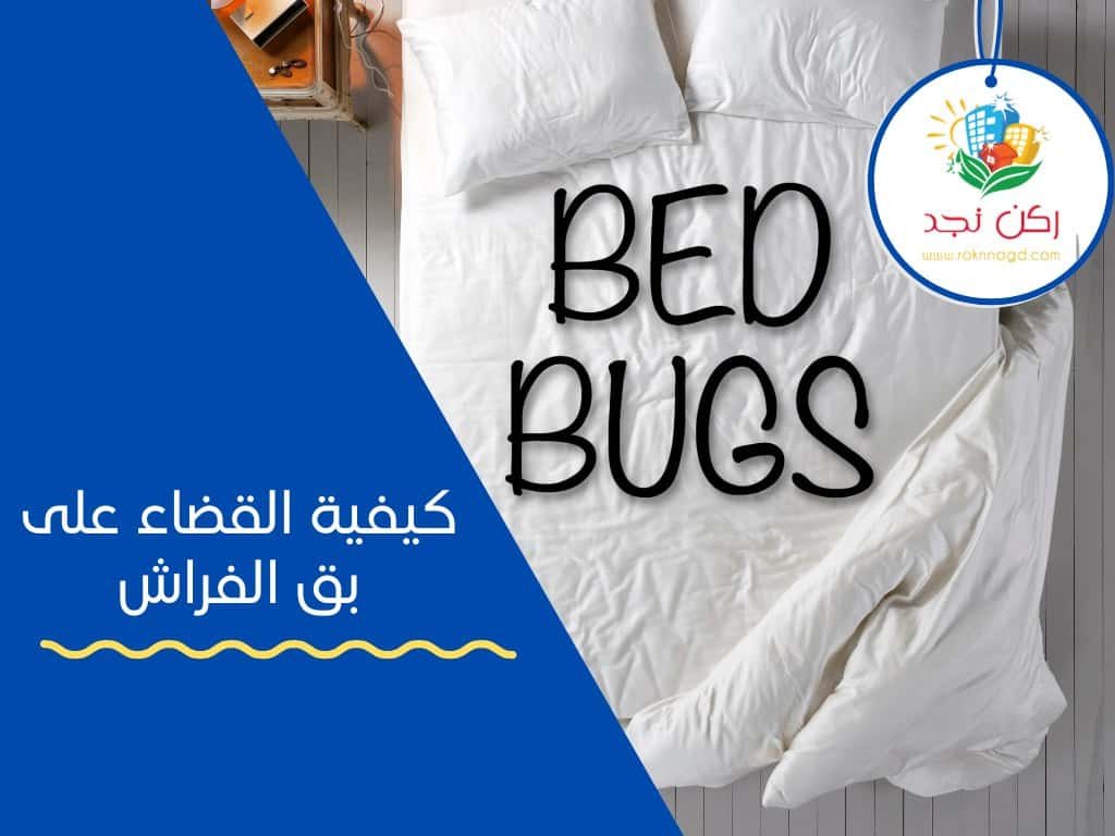 القضاء على بق الفراش