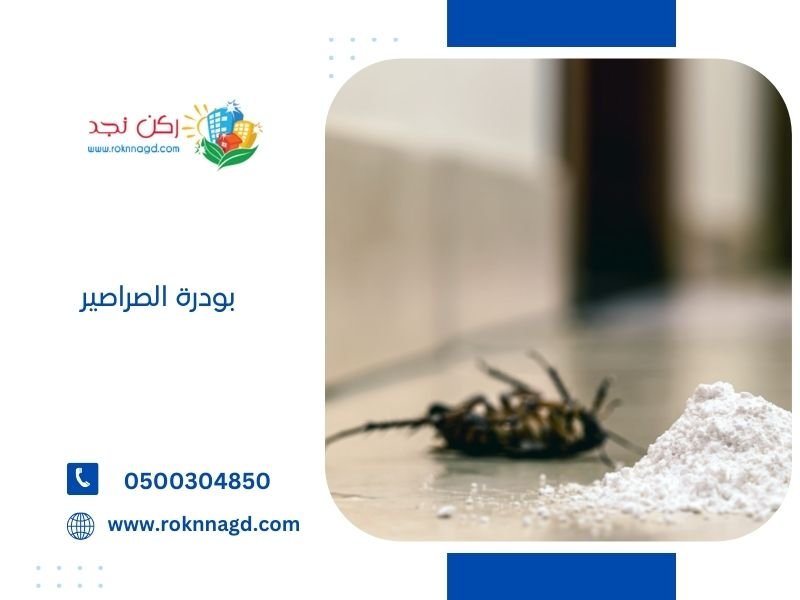 3 انواع من بودرة الصراصير- دليلك الشامل للاختيار والاستخدام الفعال 2 بودرة الصراصير