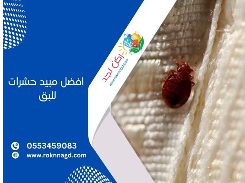 افضل مبيد حشرات للبق