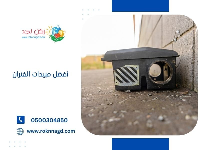 أفضل مبيدات الفئران في السعودية لعام 2026: حلول فعّالة وآمنة للتخلص من الفئران بسرعة 2 أفضل مبيدات الفئران من ركن نجد