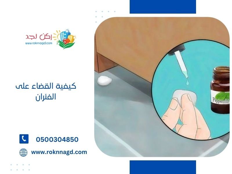 كيفية القضاء على الفئران