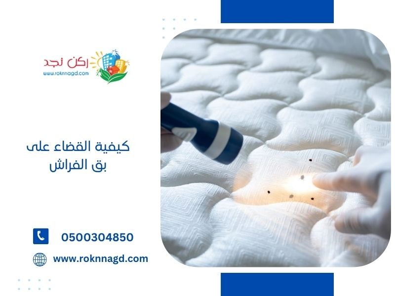 كيفية القضاء على بق الفراش | 2026 | دليل شامل للتخلص من البق 2 كيفية مكافحة بق الفراش