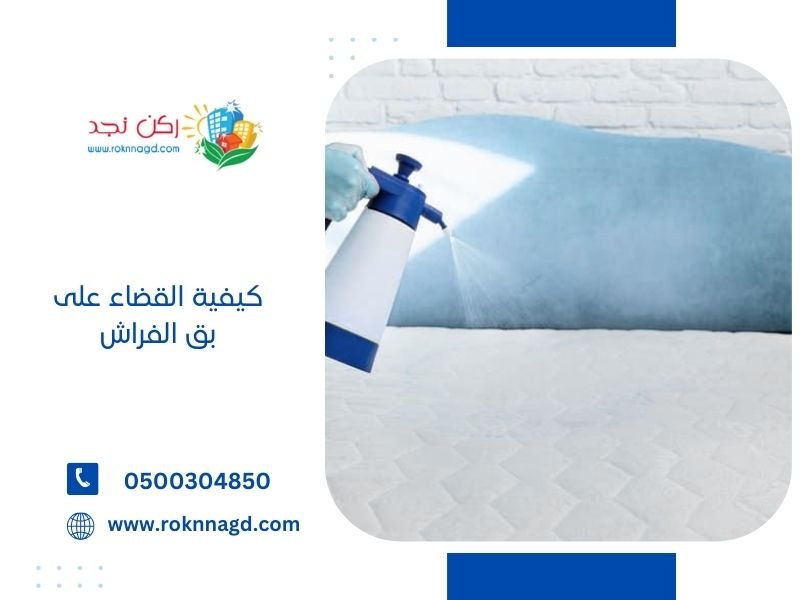 كيفية القضاء على بق الفراش | 2026 | دليل شامل للتخلص من البق 3 كيفية القضاء على بق الفراش من ركن نجد