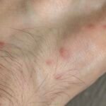 What is the difference between insecticides for home and professional use?