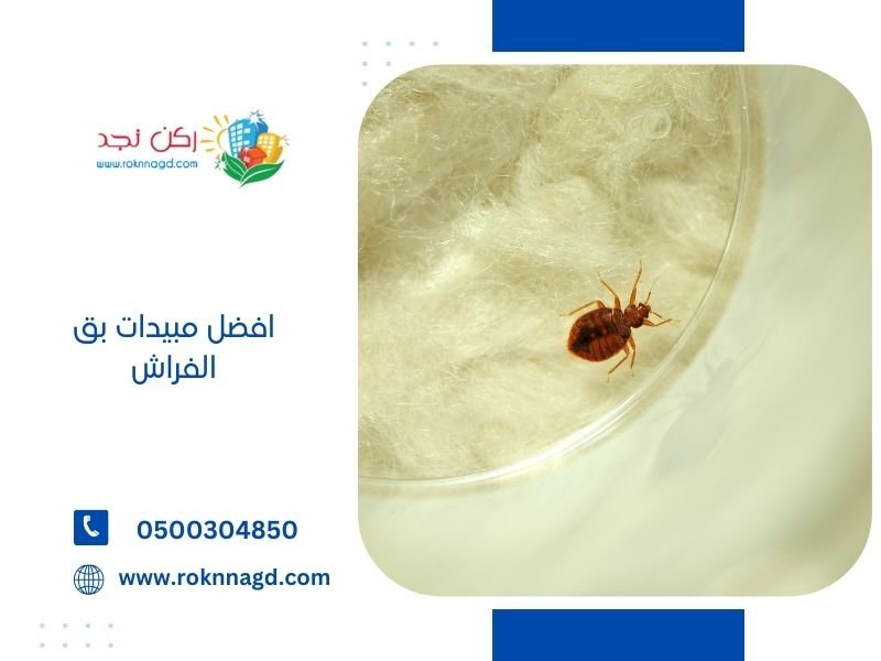 افضل مبيدات بق الفراش - اماكن بيع مبيدات البق دليل الشامل 3 مبيدات بق الفراش من ركن نجد