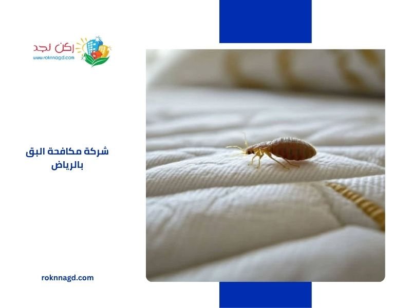 شركة مكافحة البق بالرياض