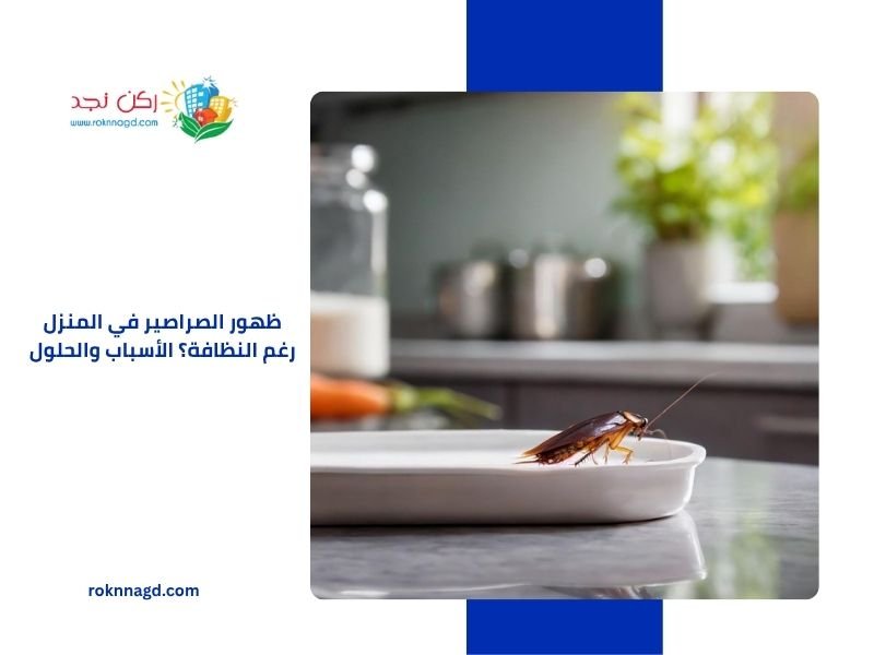 ظهور الصراصير في المنزل رغم النظافة؟ الأسباب والحلول 3 ظهور الصراصير في المنزل رغم النظافة؟ الأسباب والحلول