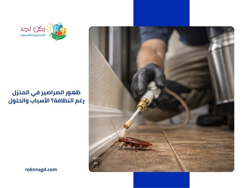 ظهور الصراصير في المنزل رغم النظافة؟ الأسباب والحلول