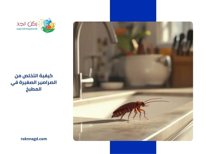 كيفية التخلص من الصراصير الصغيرة في المطبخ