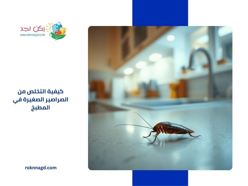كيفية التخلص من الصراصير الصغيرة في المطبخ نهائيًا وأسباب ظهورها 2 كيفية التخلص من الصراصير الصغيرة في المطبخ