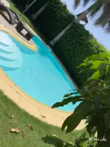 مسبح حديقة بعد التنظيف