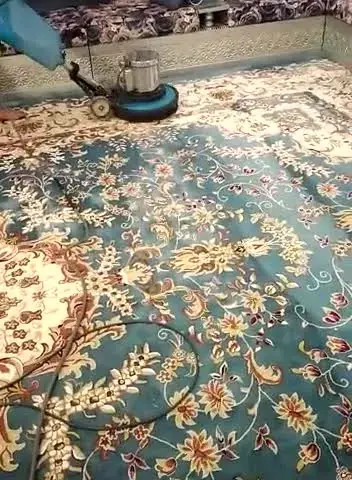 تنظيف موكيت مجلس أخضر بماكينة اللباد